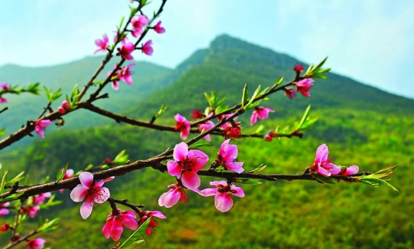 Âm nhạc và đời sống: Câu hát gọi xuân về