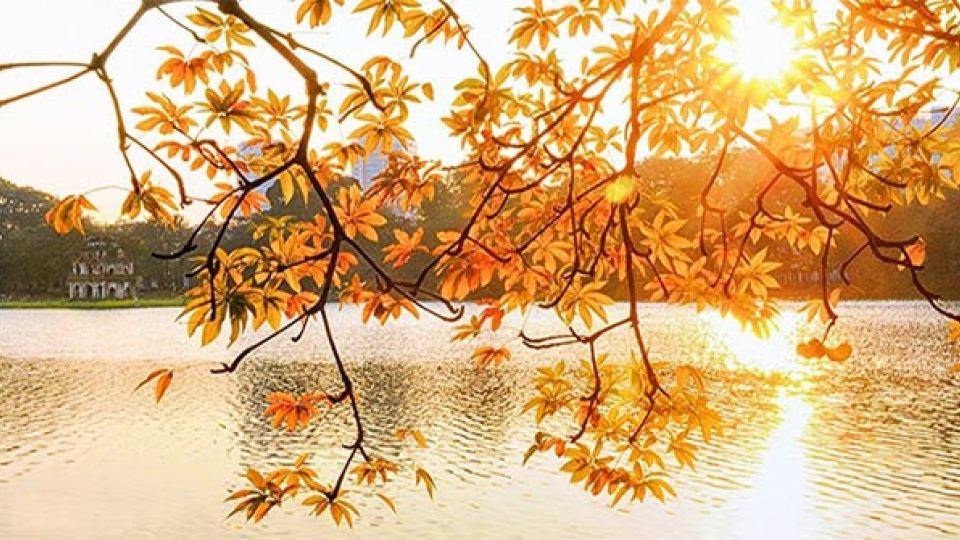 Âm nhạc và đời sống: Có một mùa thu nồng nàn trong âm nhạc