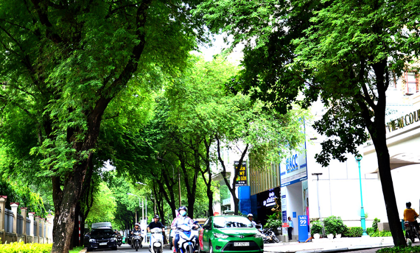 Âm nhạc và đời sống: Con đường có lá me bay