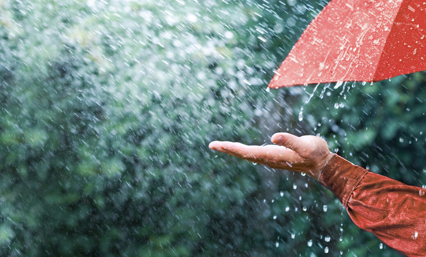 Âm nhạc và đời sống: Dấu mưa