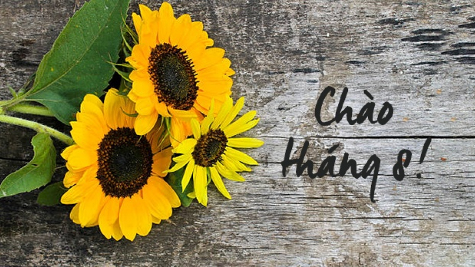 Âm nhạc và Đời sống: Đợi tháng Tám