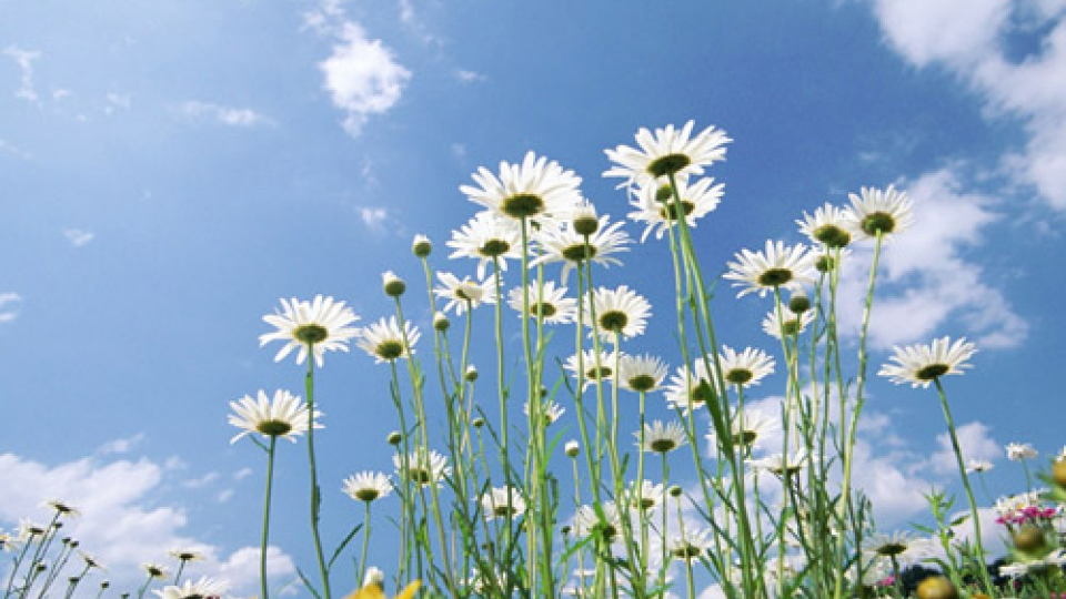 Âm nhạc và đời sống: Giai điệu tháng 4