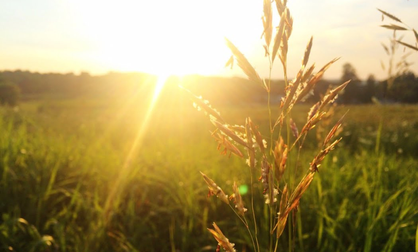 Âm nhạc và đời sống: Gọi nắng