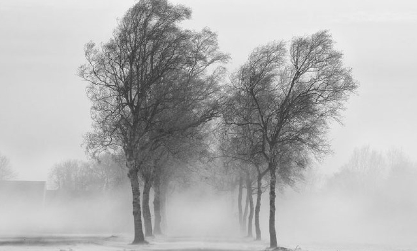 Âm nhạc và đời sống: Đất nước tình yêu