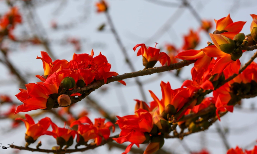 Âm nhạc và đời sống: Khúc hát tháng Ba