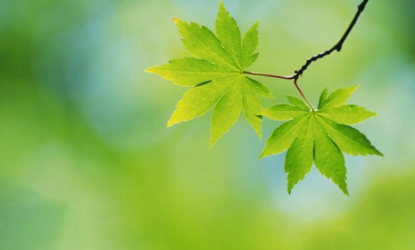  Âm nhạc và đời sống: Khúc hát tháng Tư