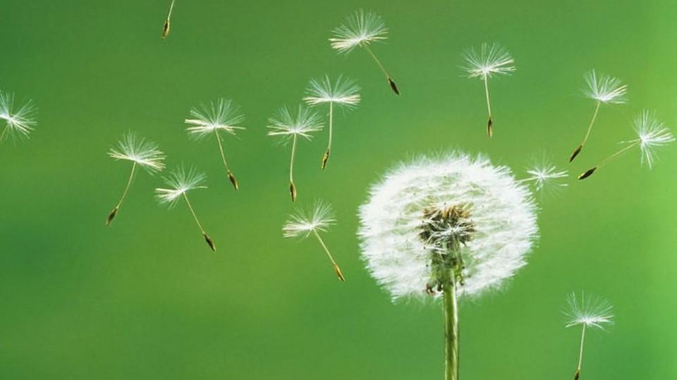 Âm nhạc và đời sống: Lời của gió