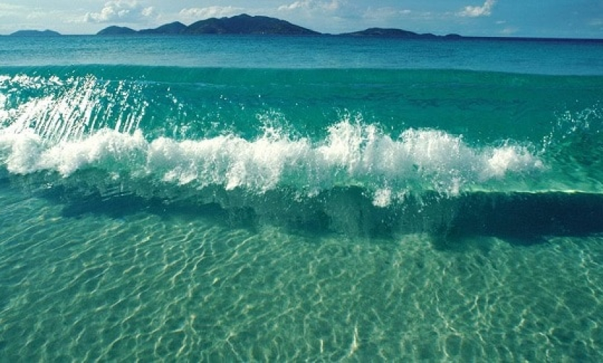 Âm nhạc và đời sống: Lời sóng hát