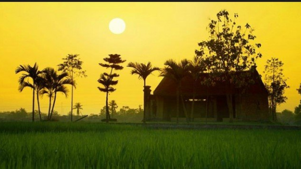Âm nhạc và đời sống: Mơ quê