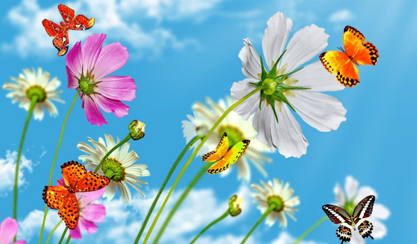 Âm nhạc và đời sống: Mùa đẹp nhất