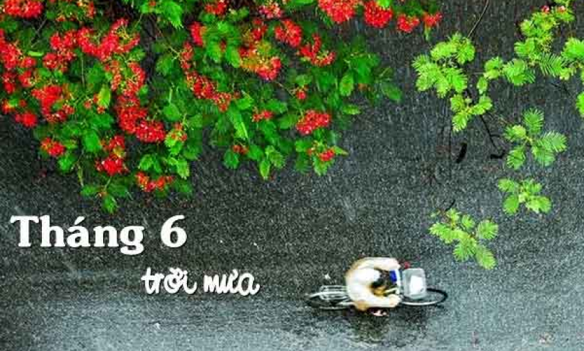 Âm nhạc và đời sống: Mưa tháng 6