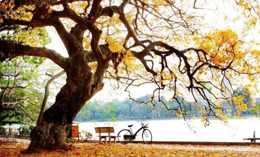 Âm nhạc và đời sống: Mùa thu Hà Nội trong dòng chảy âm nhạc