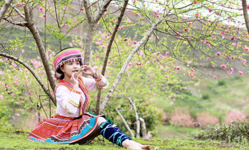 Âm nhạc và đời sống: Nắng có còn xuân