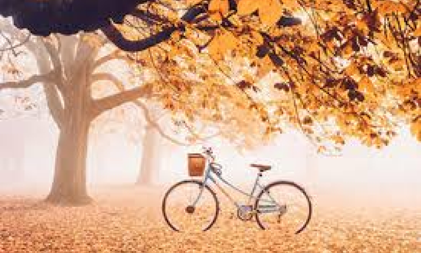 Âm nhạc và đời sống: Nhờ mùa thu đón em về