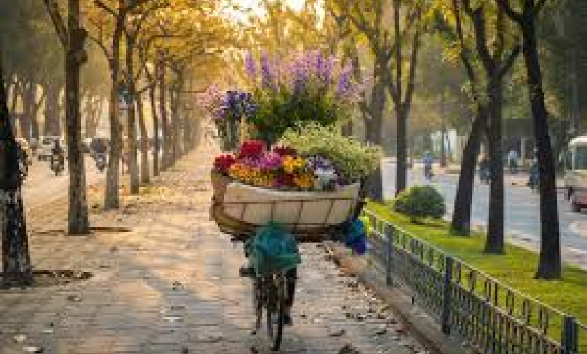 Âm nhạc và đời sống: Những ca khúc mang năng lượng tích cực cho mùa xuân