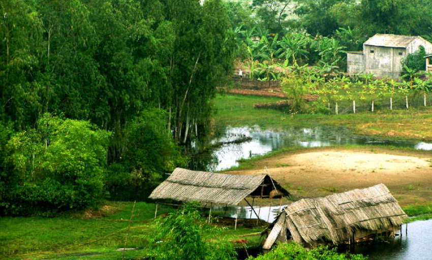 Âm nhạc và đời sống: Quê nhà