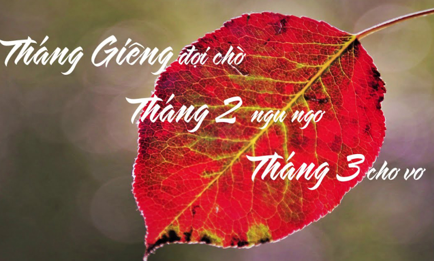 Âm nhạc và đời sống: Tháng mấy em nhớ anh