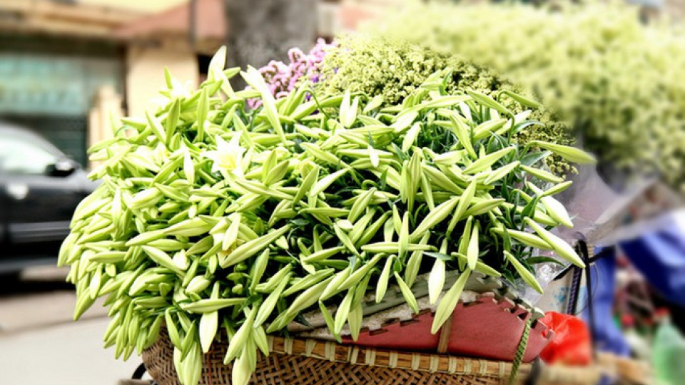 Âm nhạc và đời sống: Tháng tư về gió hát mùa hè