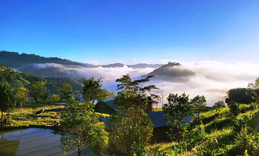 Âm nhạc và đời sống: Thanh âm đại ngàn