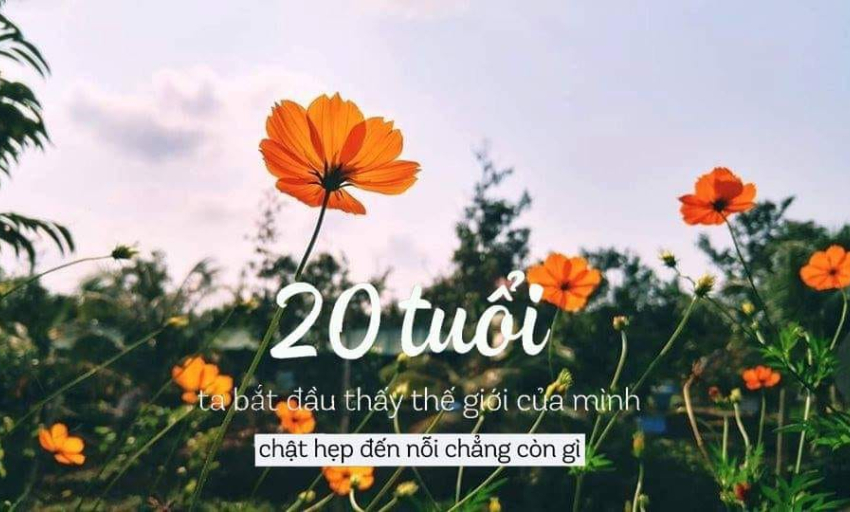 Âm nhạc và đời sống: Tình ca hai mươi