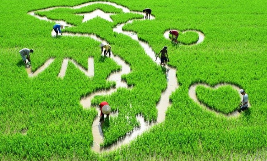 Âm nhạc và đời sống: Việt Nam mến yêu