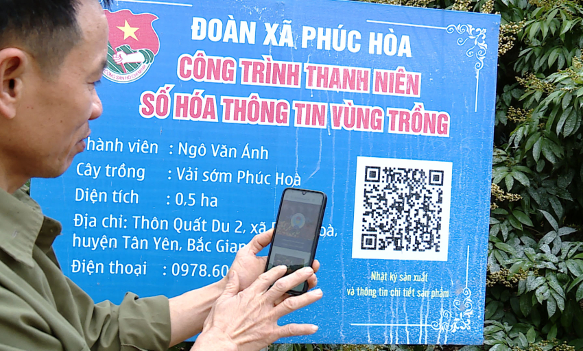 “Cuộc cách mạng xanh từ quả vải”: Kỳ 2: “Số hóa vùng đồi sinh thái” 