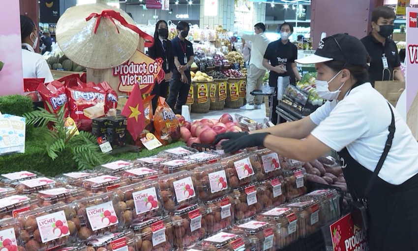 “Cuộc cách mạng xanh từ quả vải”: Kỳ 4: “Tấm hộ chiếu chinh phục thị trường toàn cầu”  