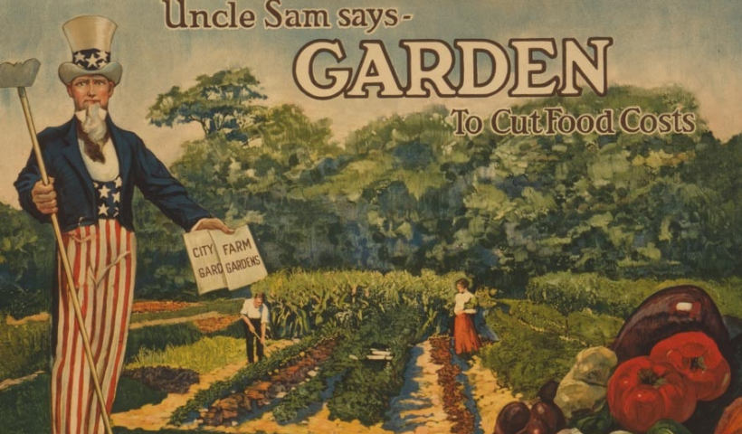 Kể chuyện cổ tích: Bác làm vườn và nhà chủ