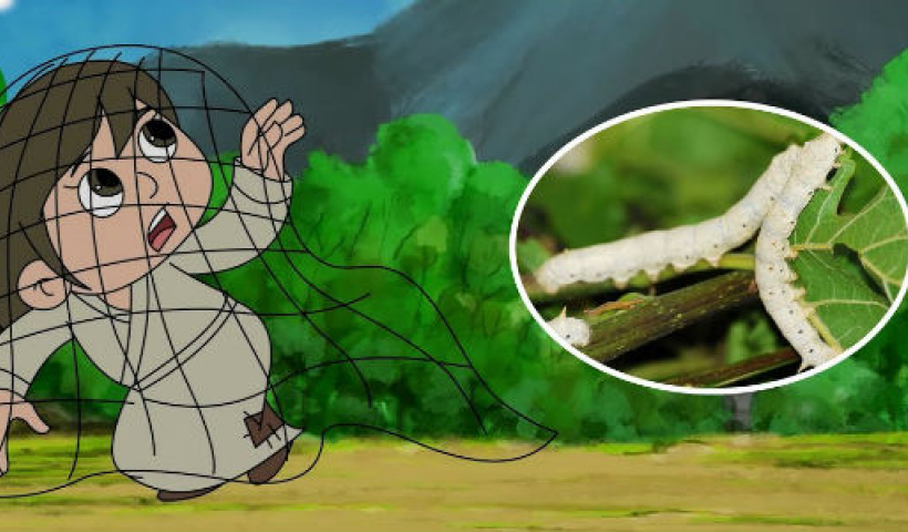 Kể chuyện cổ tích: Sự tích con tằm