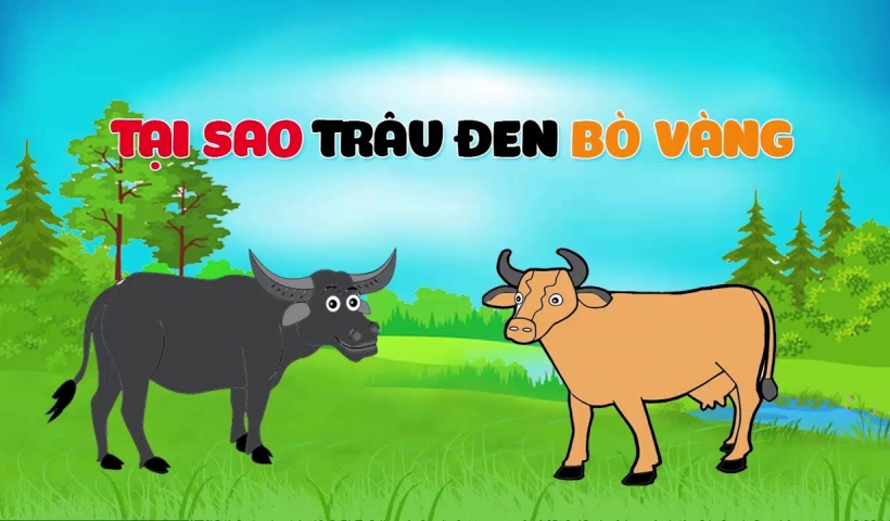 Kể chuyện cổ tích: Tại sao trâu đen, bò vàng?