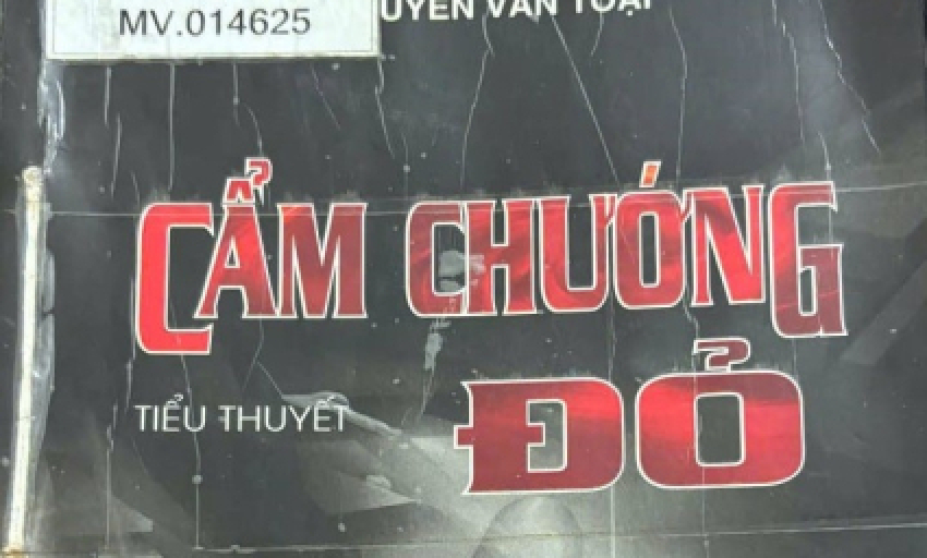 Tiểu thuyết: Cẩm chướng đỏ (P12)