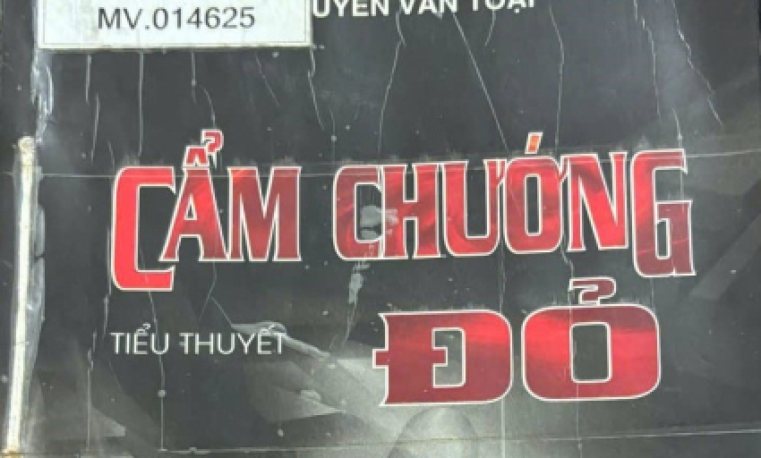 Tiểu thuyết: Cẩm chướng đỏ (P25)