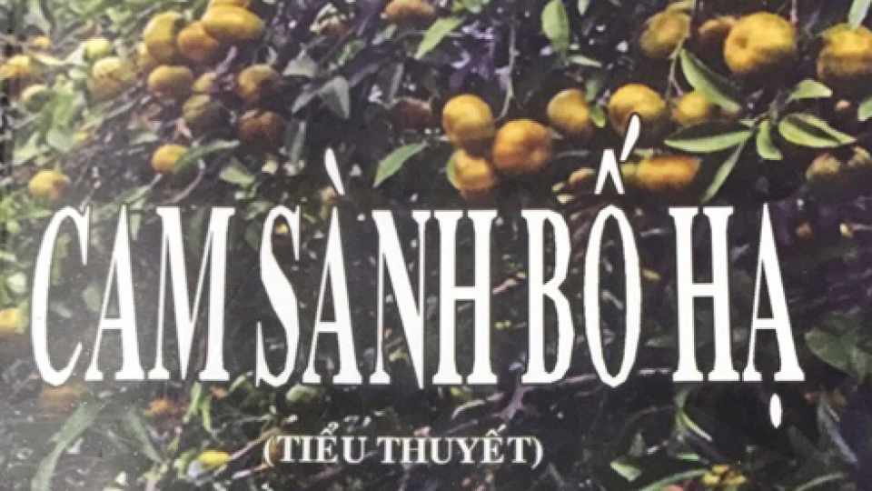 Tiểu thuyết: Cam Sành Bố Hạ (P13)