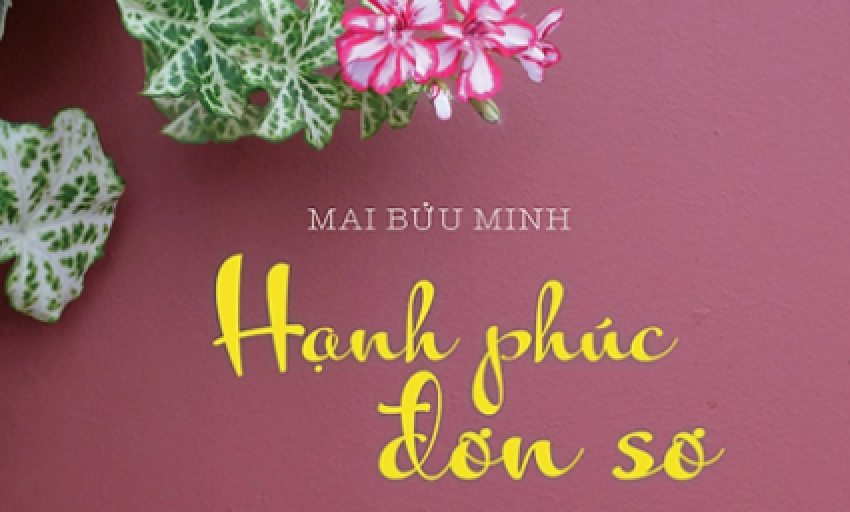 Tiểu thuyết: Hạnh phúc đơn sơ (P15)