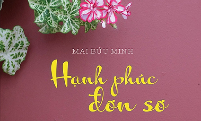 Tiểu thuyết: Hạnh phúc đơn sơ (P8)