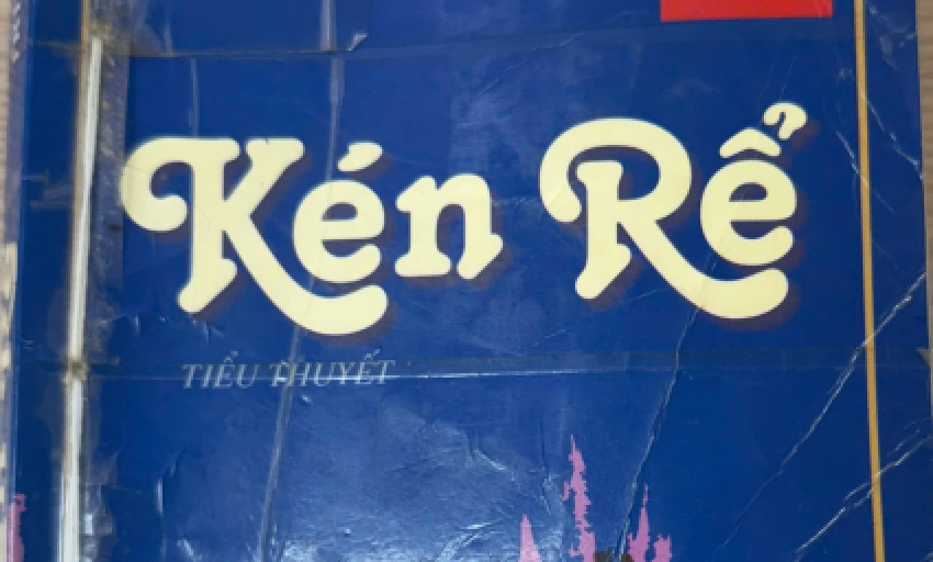 Tiểu thuyết: Kén rể (P12)