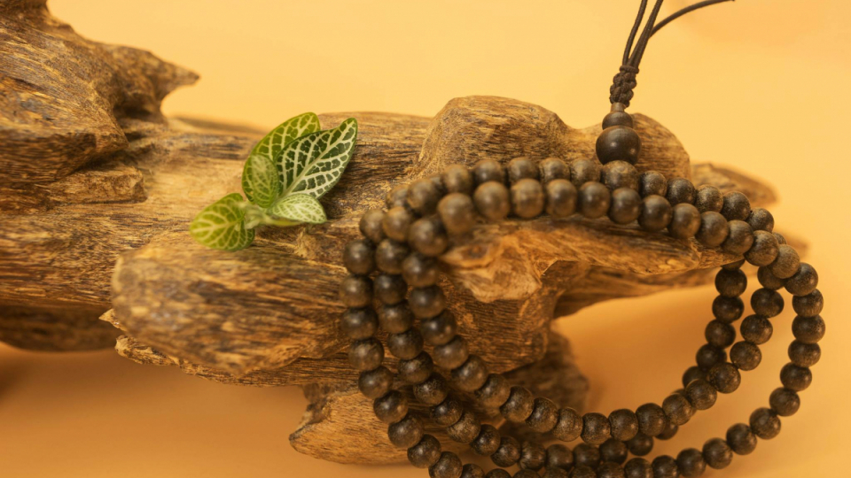 Truyện ngắn: Trầm hương