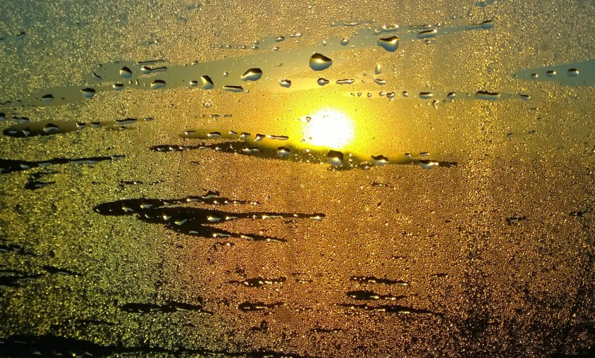 Truyện ngắn: Bình minh mưa