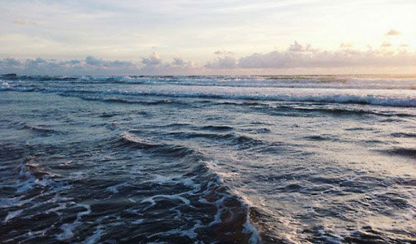 Truyện ngắn: Biển sa mù