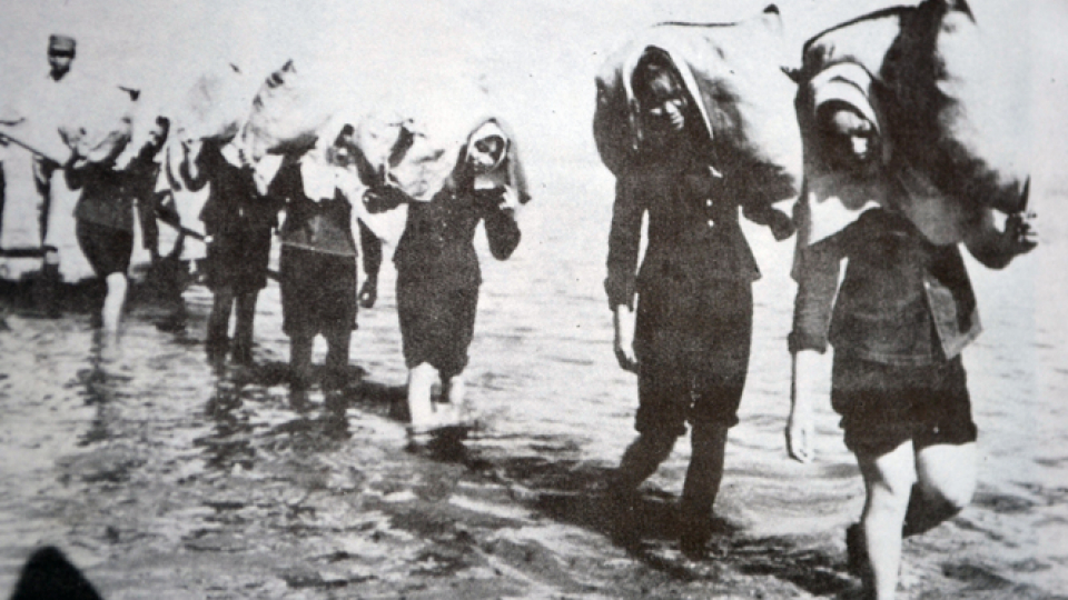 Truyện ngắn: Bông điên điển hồng