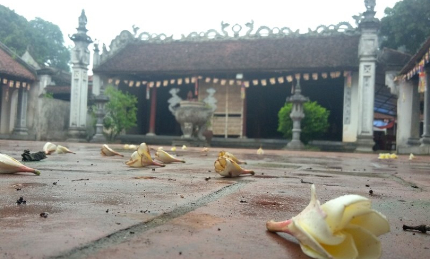  Truyện ngắn: Chiếc điện thoại di động của nhà chùa