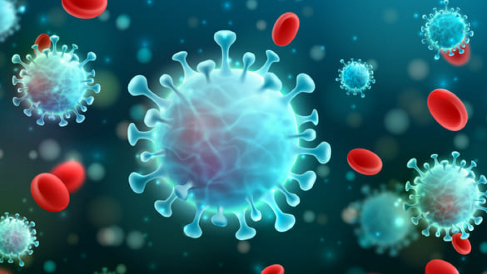 Truyện ngắn: Đại dịch