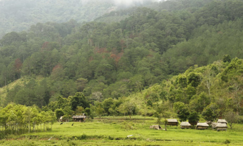 Truyện ngắn: Dưới bóng rừng xau xau