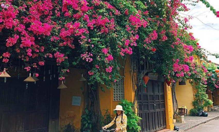 Truyện ngắn: Giàn bông giấy dưới mái hiên
