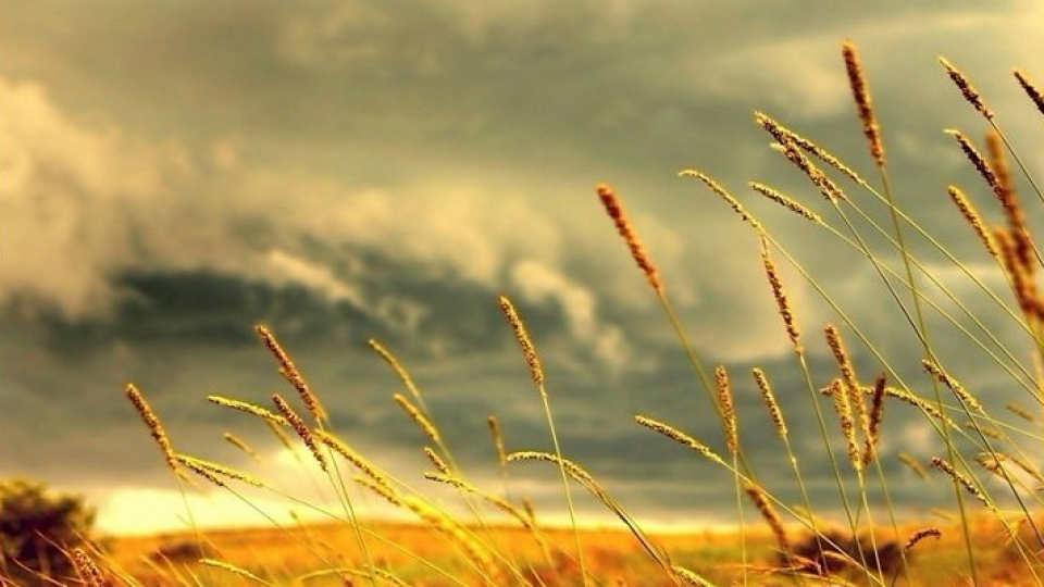 Truyện ngắn: Gió Trương Chi