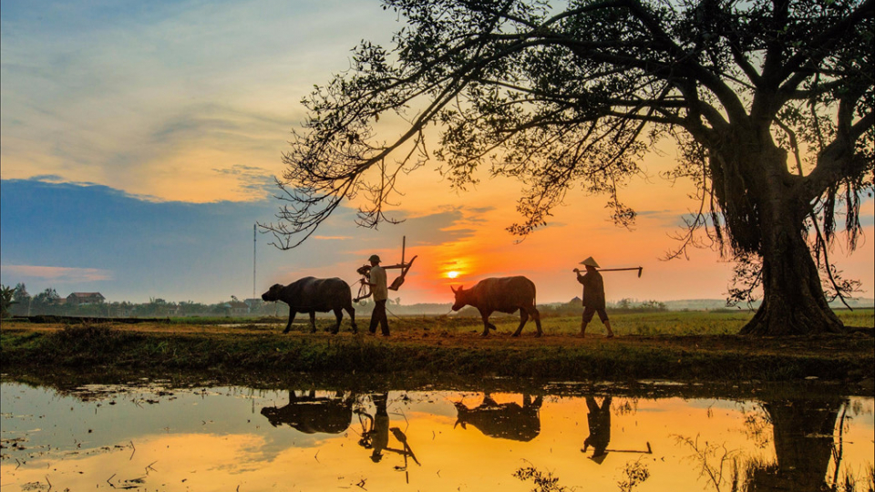 Truyện ngắn: Lỡ ơi