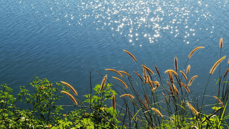 Truyện ngắn: Miền gió