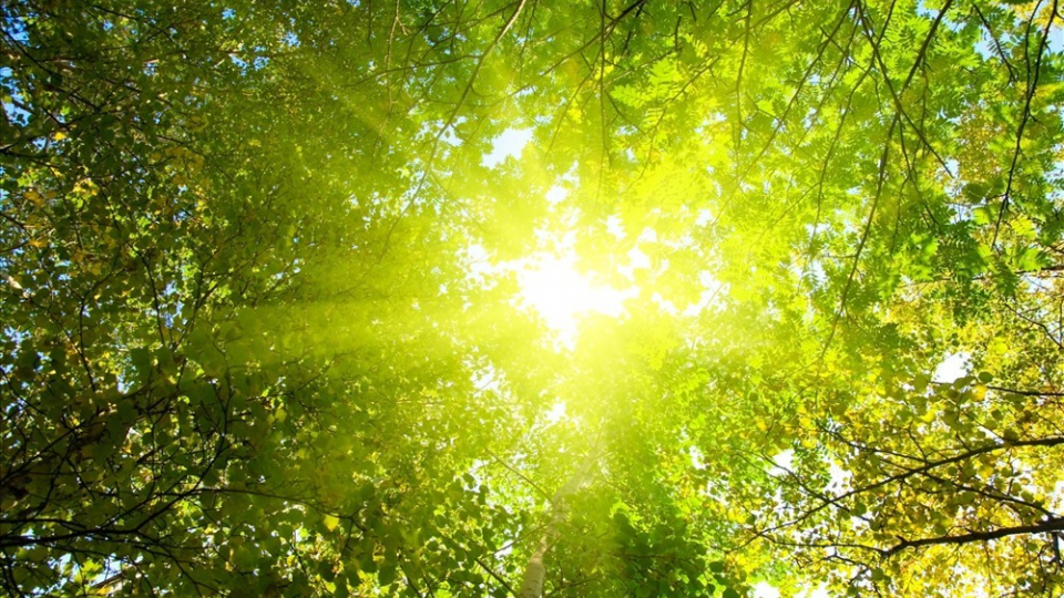 Truyện ngắn: Ngày nắng