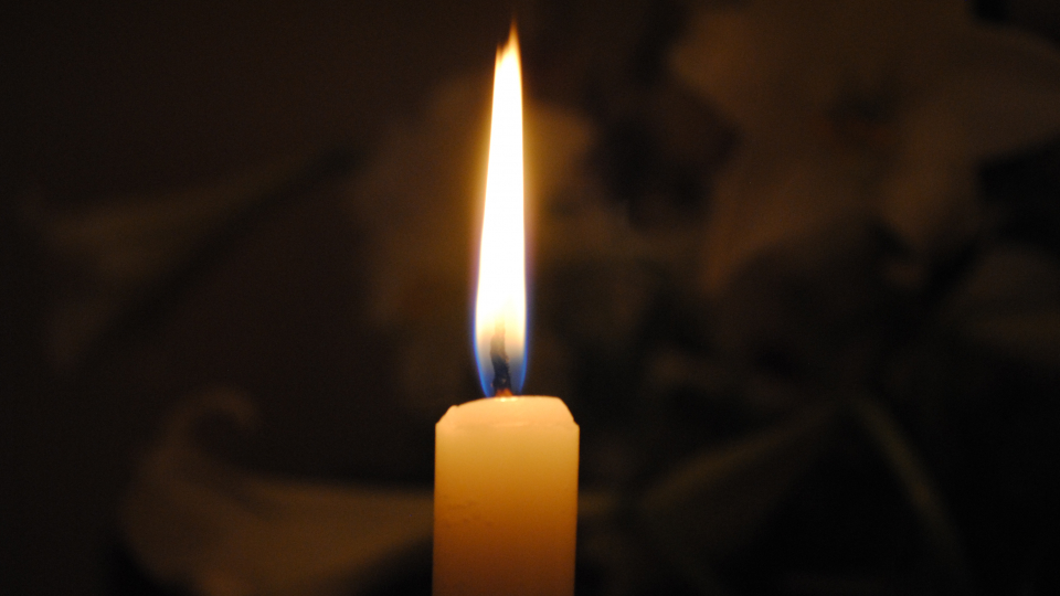 Truyện ngắn: Người đàn bà tóc trắng