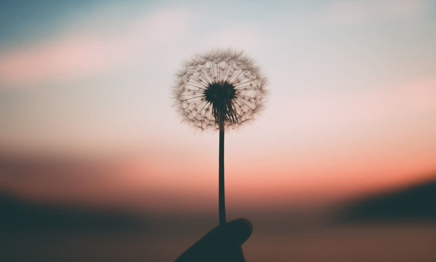 Truyện ngắn: Vào một đời sống khác